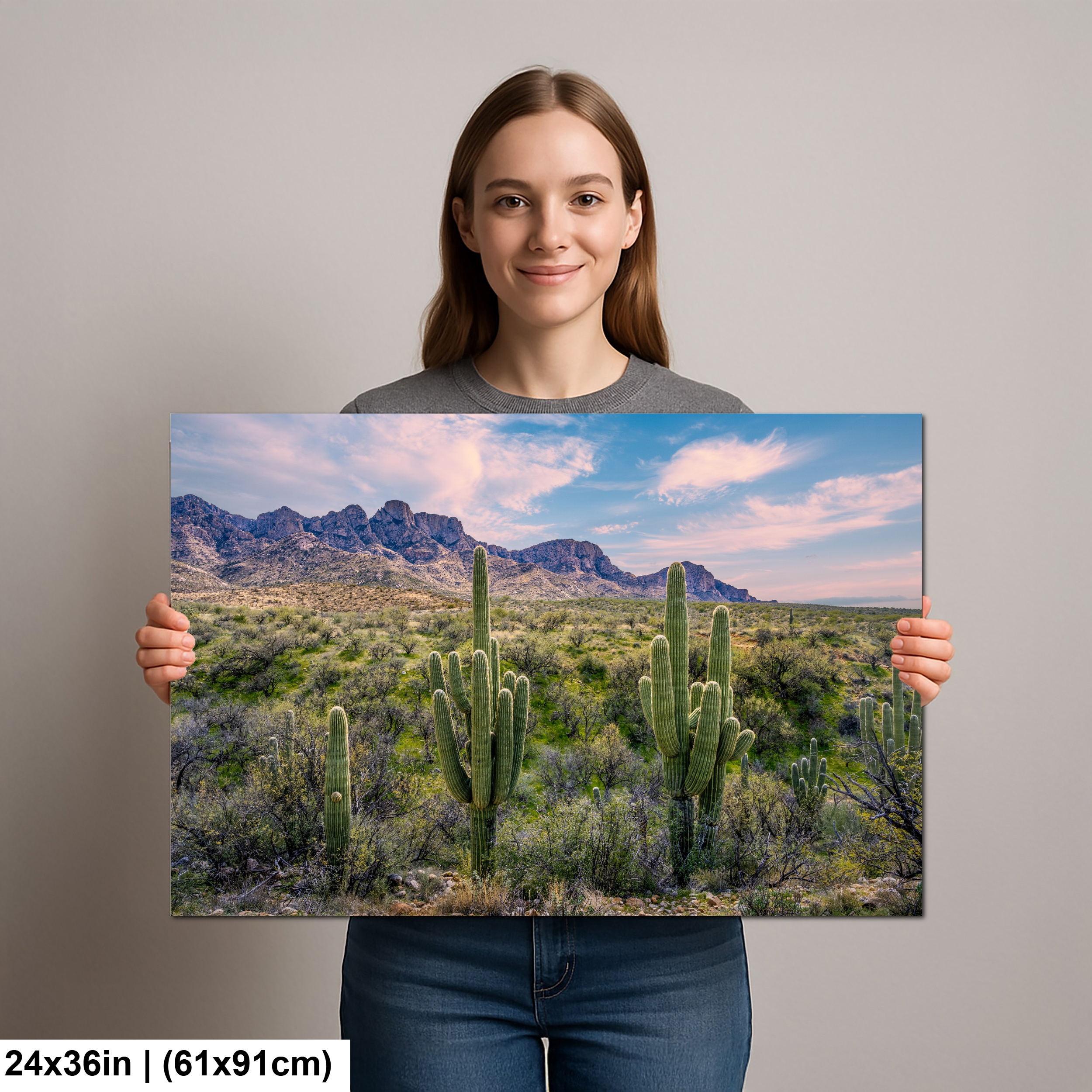 Catalina State Park Saguaro Sunset Diagram