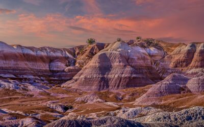 Blue Mesa Trail: Petrified Forest National Park, Arizona