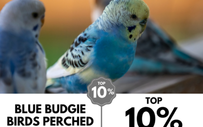 Viewbug.com: Top 10% Most Voted in ‘Depth of Field’ Photo Contest