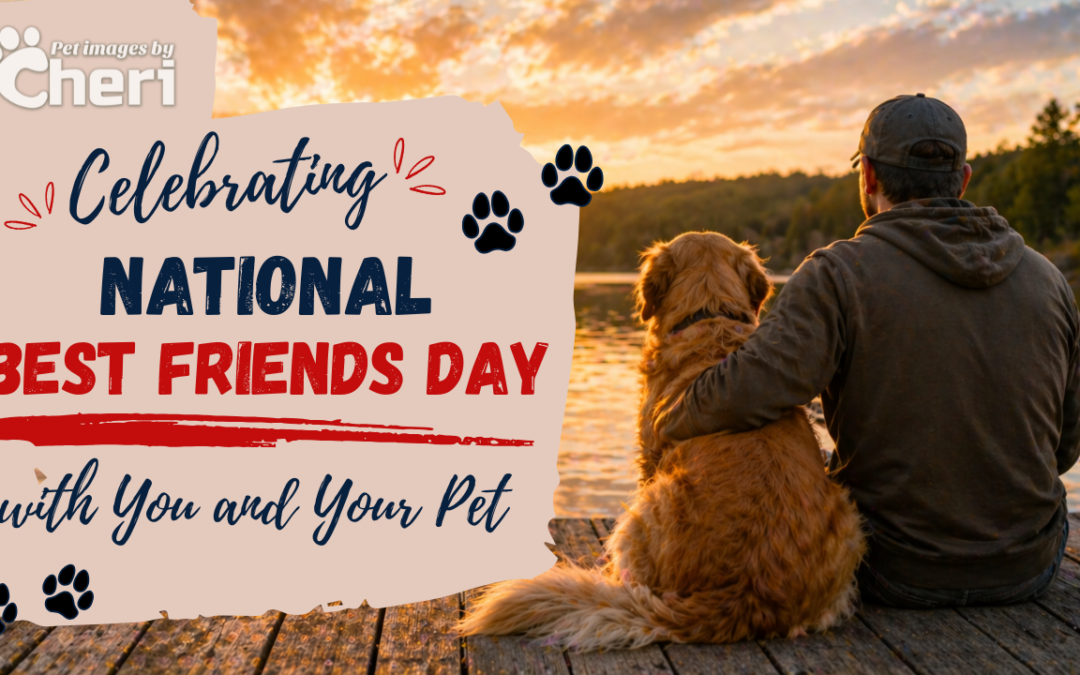 Celebrating National Best Friends Day with You and Your Pet in Tucson, Arizona