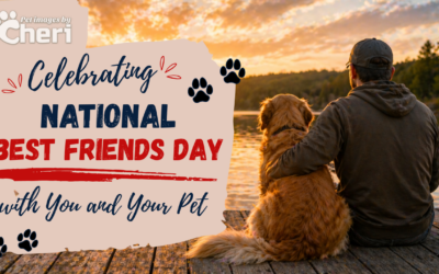 Celebrating National Best Friends Day with You and Your Pet in Tucson, Arizona