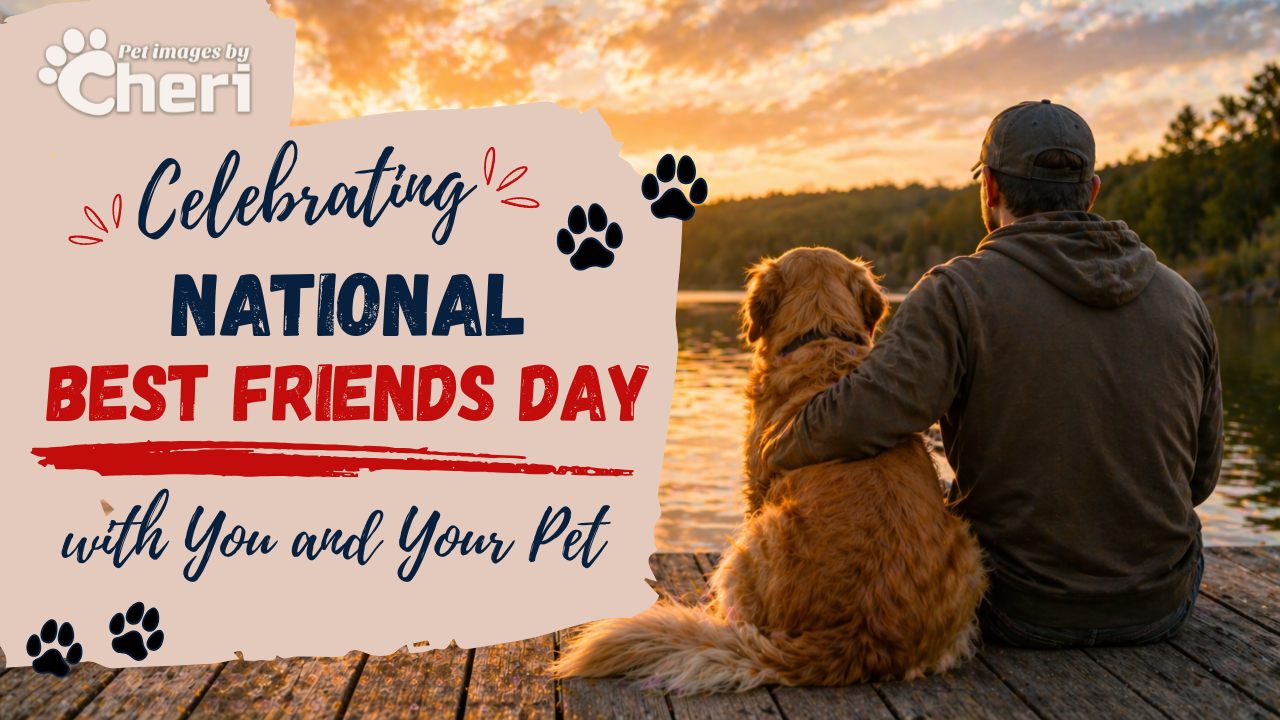 Celebrating National Best Friends Day with You and Your Pet in Tucson, Arizona