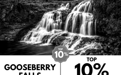 Viewbug.com: Top 10% Most Voted in ‘Frames in Monochrome’ Photo Contest