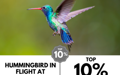 Viewbug.com: Top 10% Most Voted in ‘Depth of Field’ Photo Contest