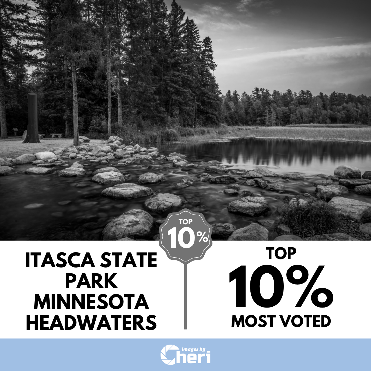 Itasca State Park Minnesota Headwaters_Frames in Monochrome