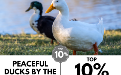 Viewbug.com: Top 10% Most Voted in ‘Depth of Field’ Photo Contest