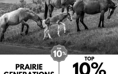 Viewbug.com: Top 10% Most Voted in ‘Frames in Monochrome’ Photo Contest