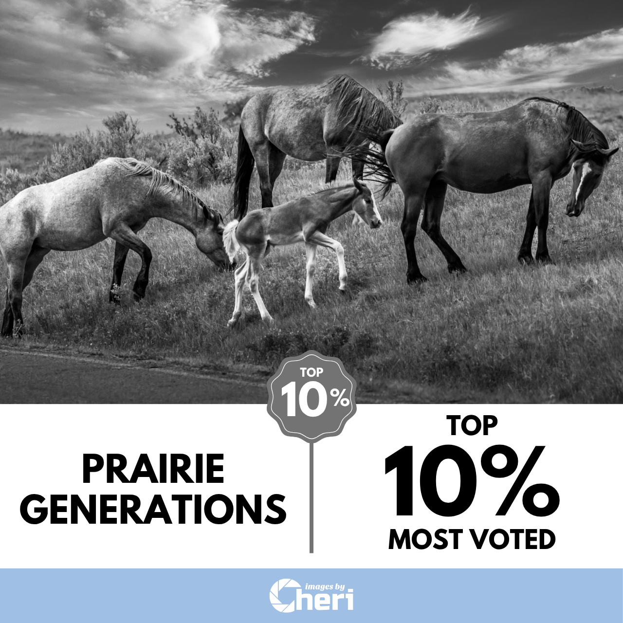 Prairie Generations_Frames in Monochrome