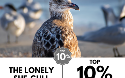 Viewbug.com: Top 10% Most Voted in ‘Depth of Field’ Photo Contest