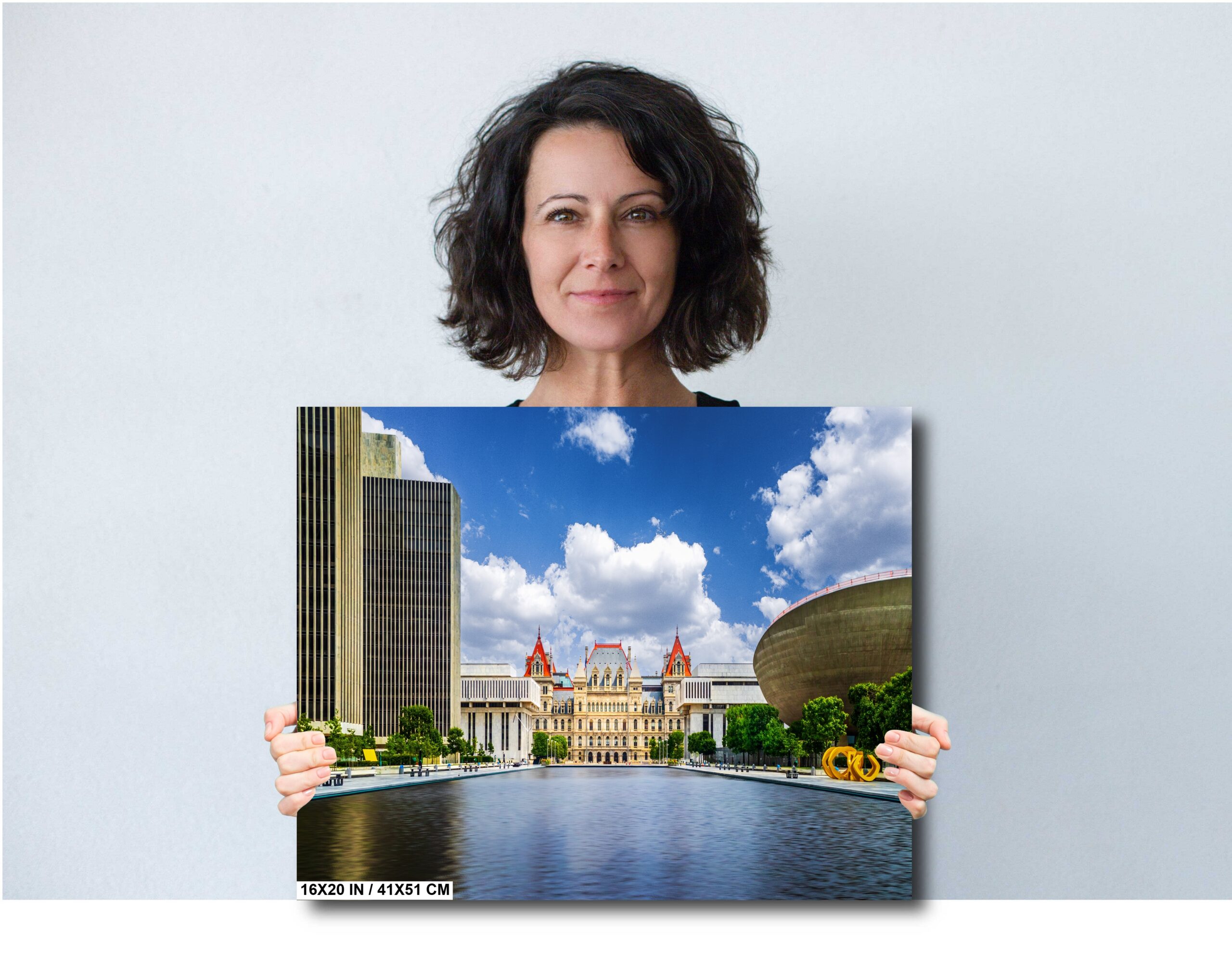 Albany’s Capitol Complex: Print Wall Art New York State Capitol Diagram