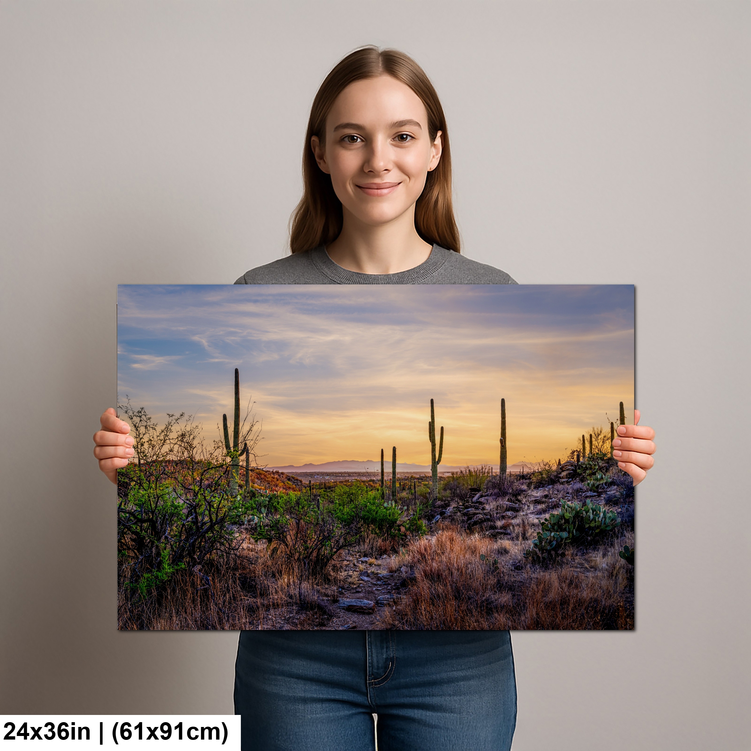 Sonoran Desert Valley Sunset with Saguaros Diagram Sonoran Desert Valley Sunset with Saguaros Diagram