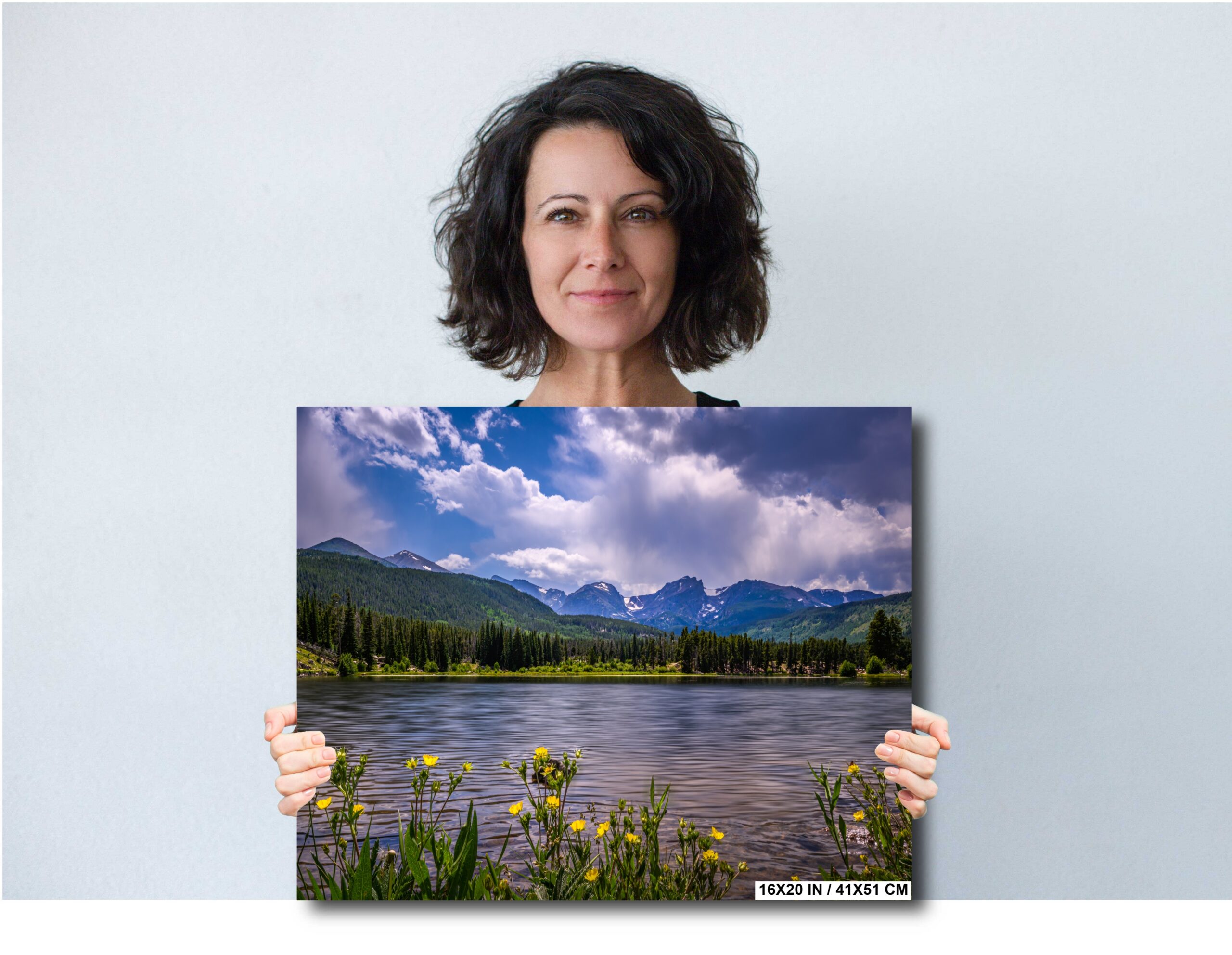 Golden Blooms by the Lake in Rocky Mountain National Park, Colorado Diagram Golden Blooms by the Lake in Rocky Mountain National Park, Colorado Diagram