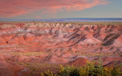 Petrified Forest’s Painted Desert