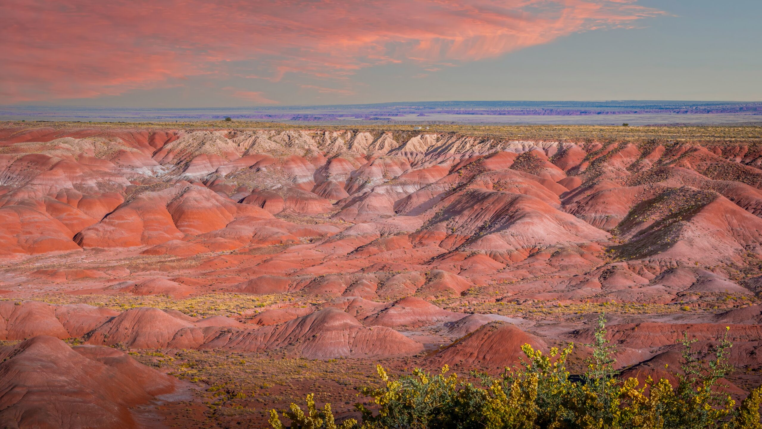 Petrified Forest’s Painted Desert