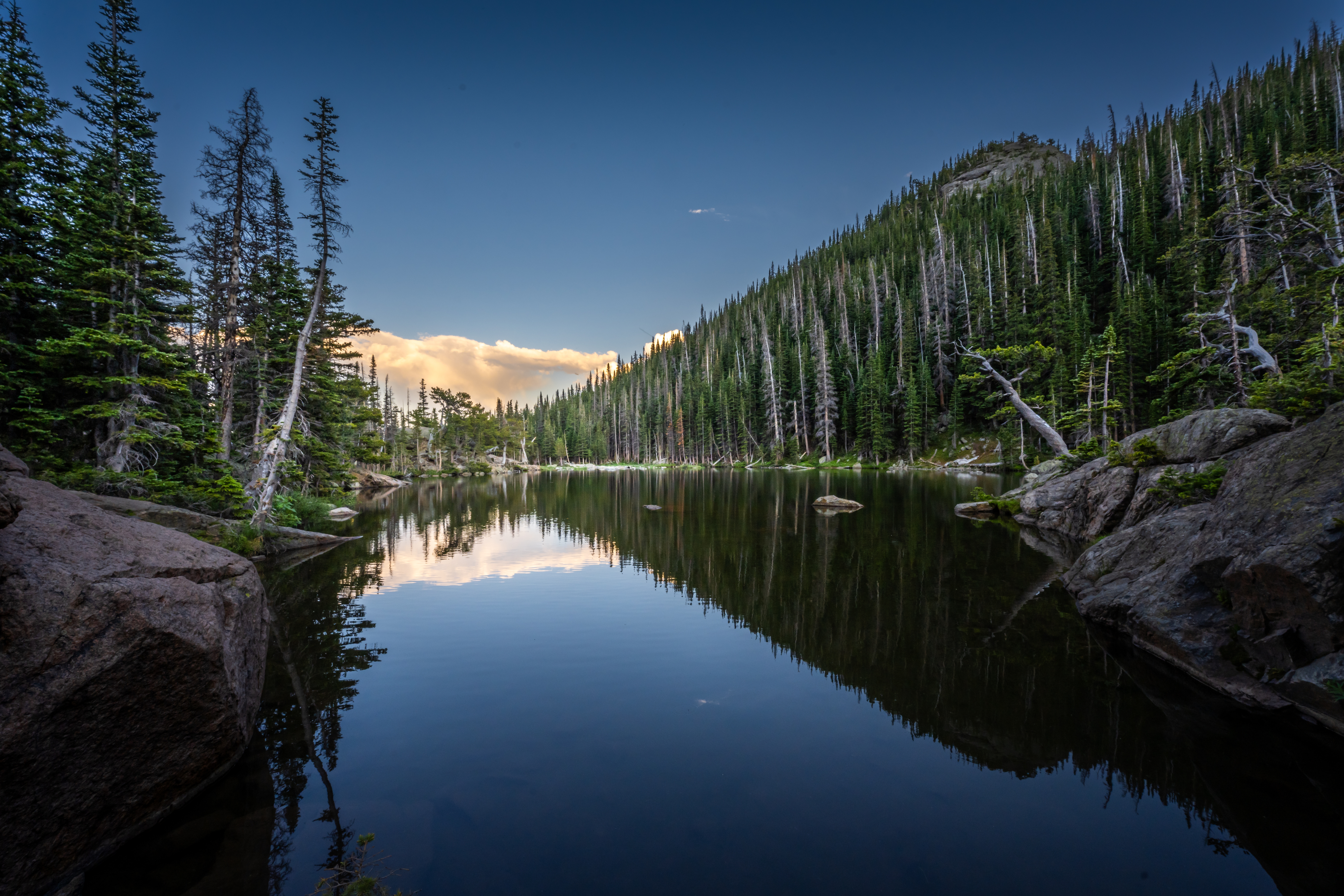 Pines Watching Over Dream Lake at Dusk Pines Watching Over Dream Lake at Dusk