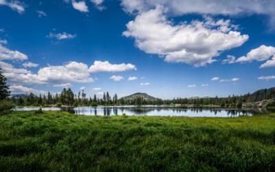 Sprague Lake Serenity