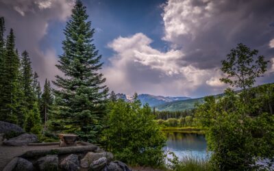 Cloud-Kissed Pines in Rocky Mountain National Park