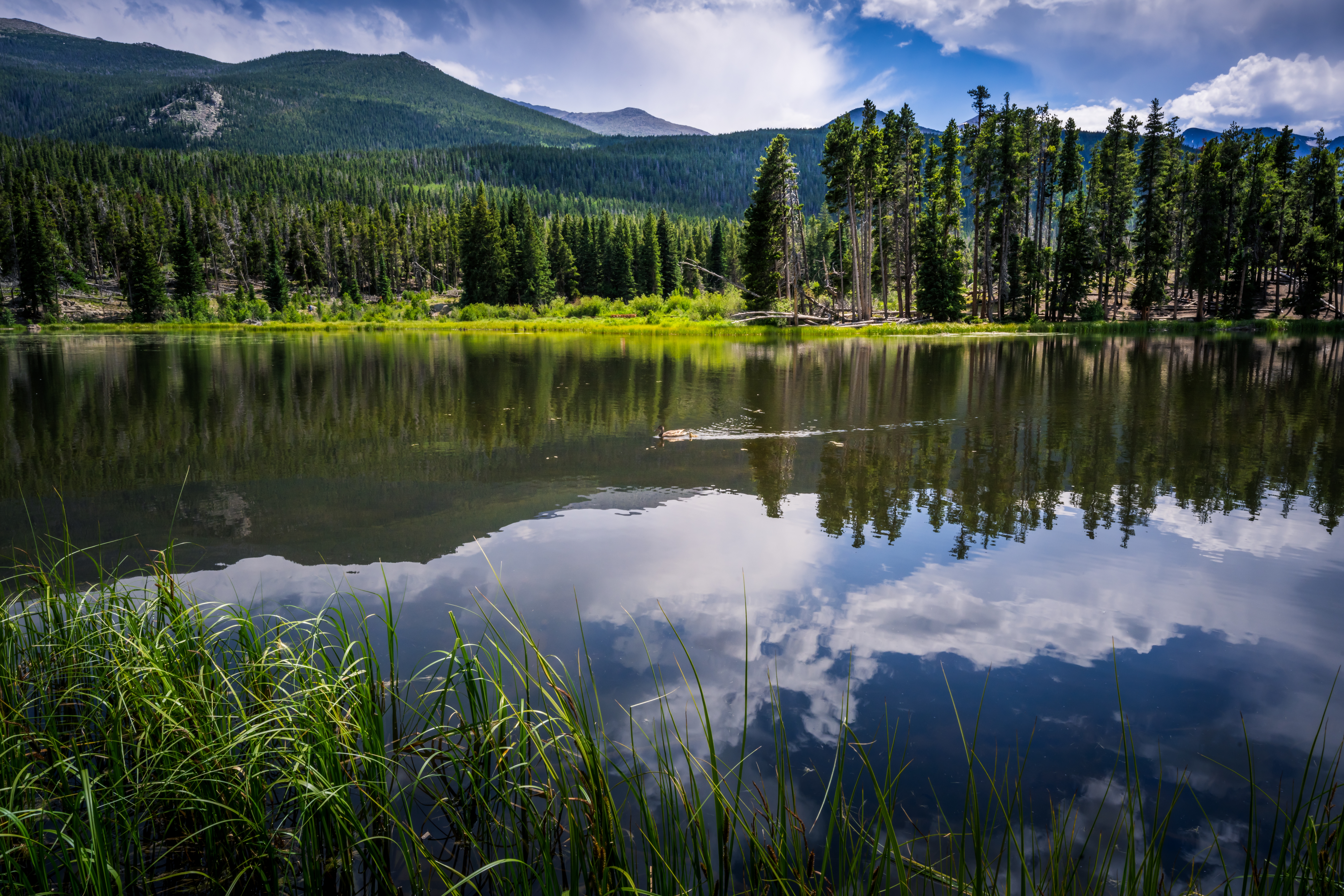 Rocky Mountain National Park, Colorado