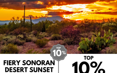 Viewbug.com: Top 10% Most Voted in ‘Glowing Sunsets’ Photo Contest