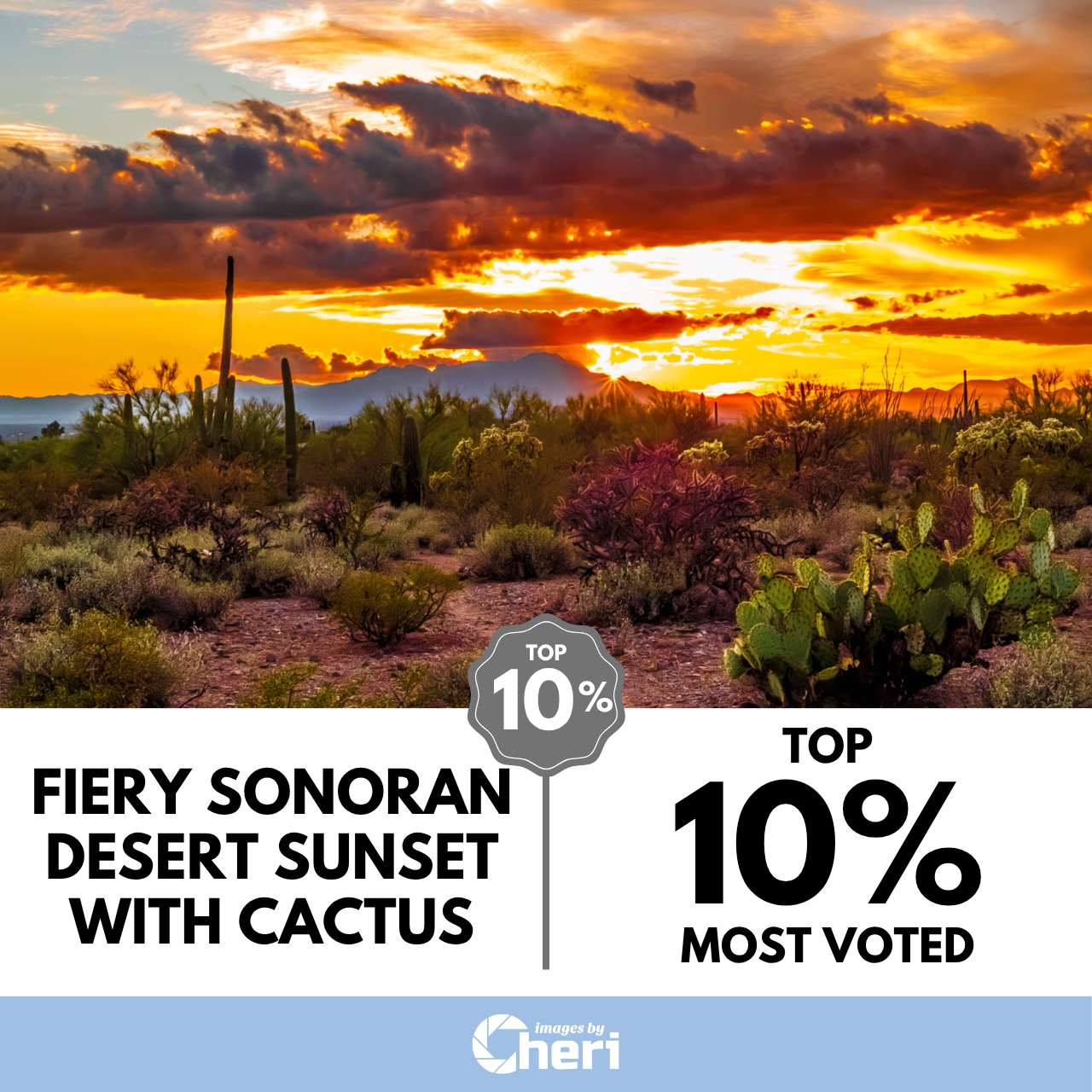 Fiery Sonoran Desert Sunset with Cactus_Glowing Sunsets