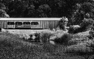 Black and White Detroit Lakes Minnesota