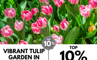 Viewbug.com: Top 10% Most Voted in ‘Pink Hues’ Photo Contest