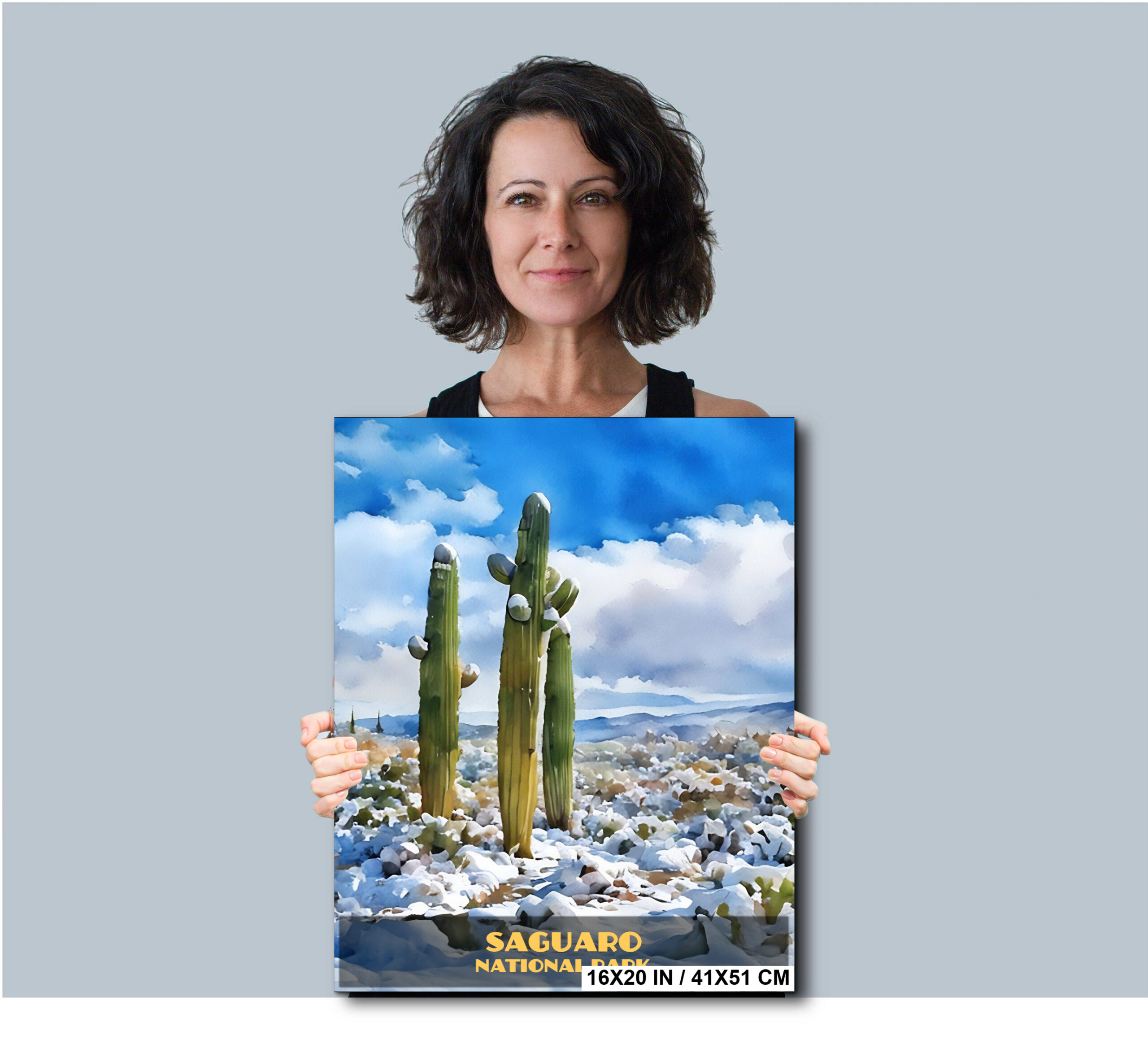 Snow-Capped Saguaro Cactus Poster Diagram