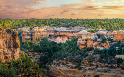 Spruce Tree House at Sunset, Mesa Verde National Park Colorado