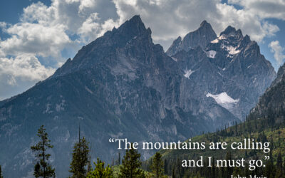 John Muir Motivational Wall Art for Adventure and Reflection