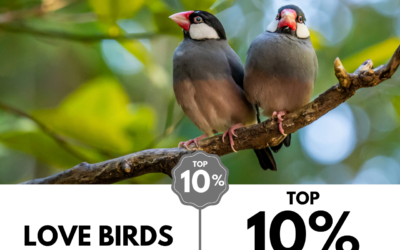 Viewbug.com: Top 10% Most Voted in ‘Image of the Month’ Photo Contest