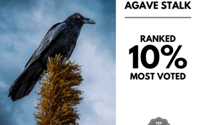 Viewbug.com: Top 10% Most Voted in ‘We Love Birds’ Photo Contest