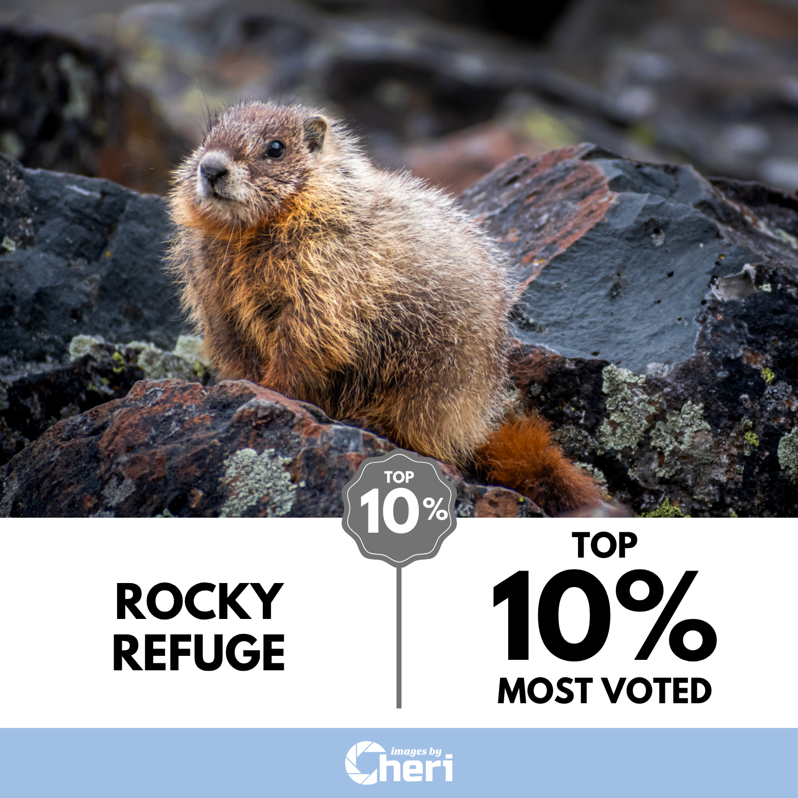 Rocky Refuge_Wildlife