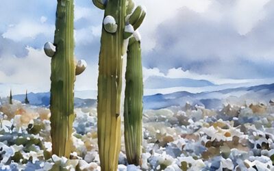 Snow-Capped Saguaro Cactus Poster