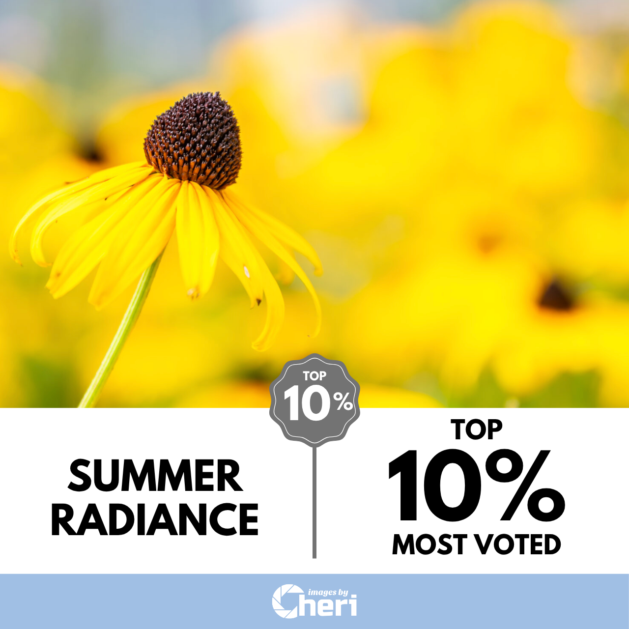 Summer Radiance_Image of the Month