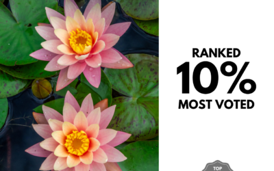 Viewbug.com: Top 10% Most Voted in ‘UNFILTERED Magazine’ Photo Contest