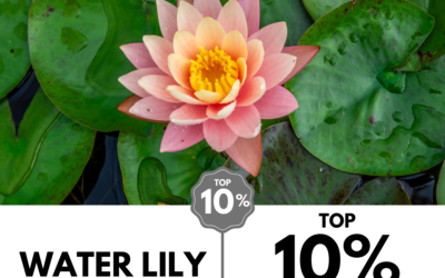 Viewbug.com: Top 10% Most Voted in ‘Welcome Spring’ Photo Contest