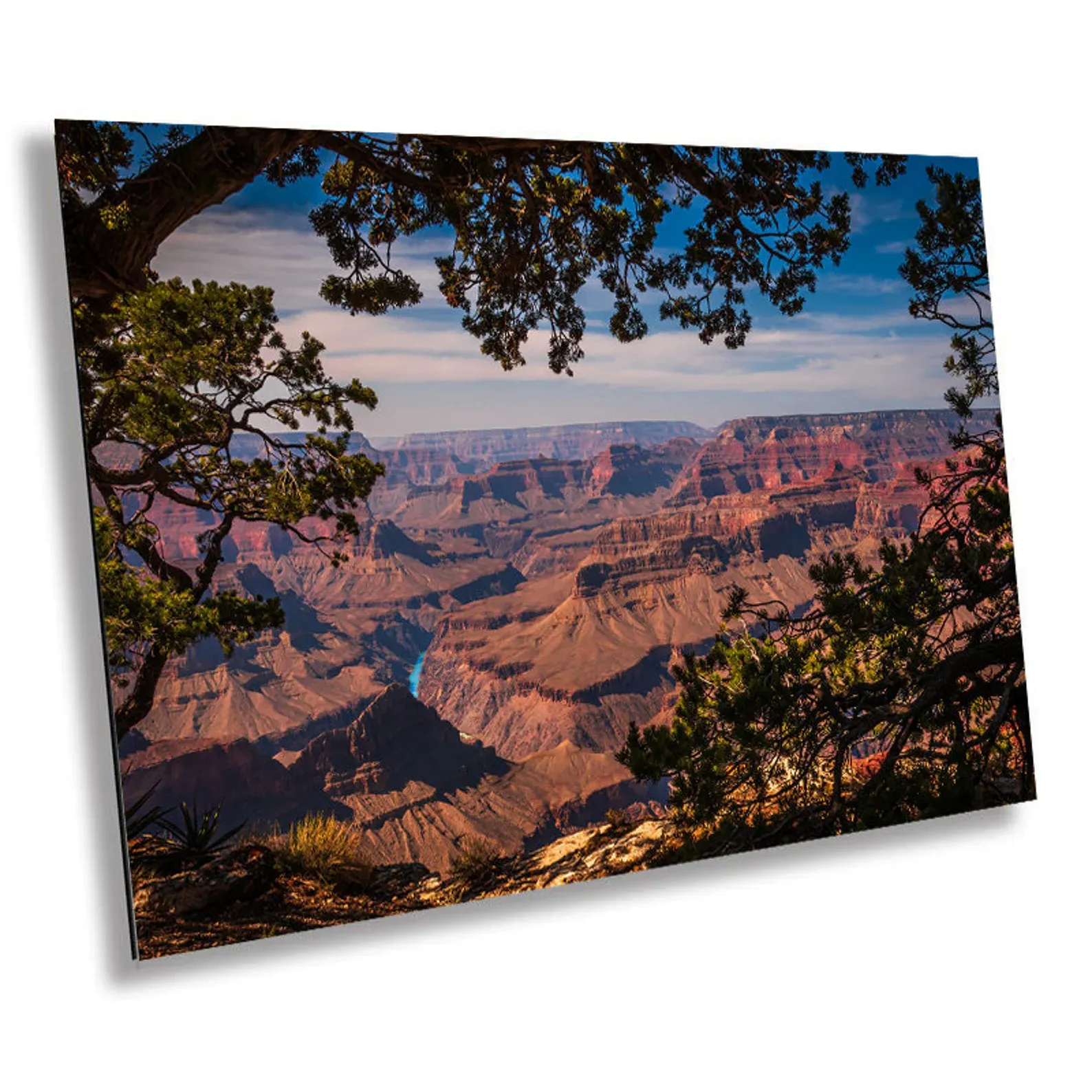 Grand Canyon National Park landscape framed by tree branches - fine art print by Cheri Alguire