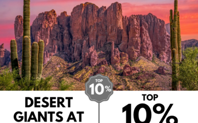 Viewbug.com: Top 10% Most Voted in ‘Desert Giants at Sunset’ Photo Contest