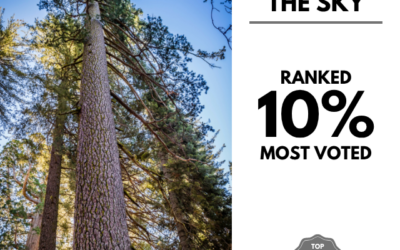 Viewbug.com: Top 10% Most Voted in ‘Giants Toward the Sky’ Photo Contest