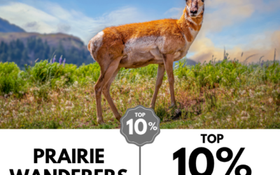Viewbug.com: Top 10% Most Voted in ‘Prairie Wanderers’ Photo Contest