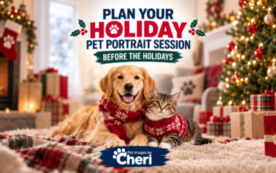 Plan Your Holiday Pet Portrait Session Before the Holidays