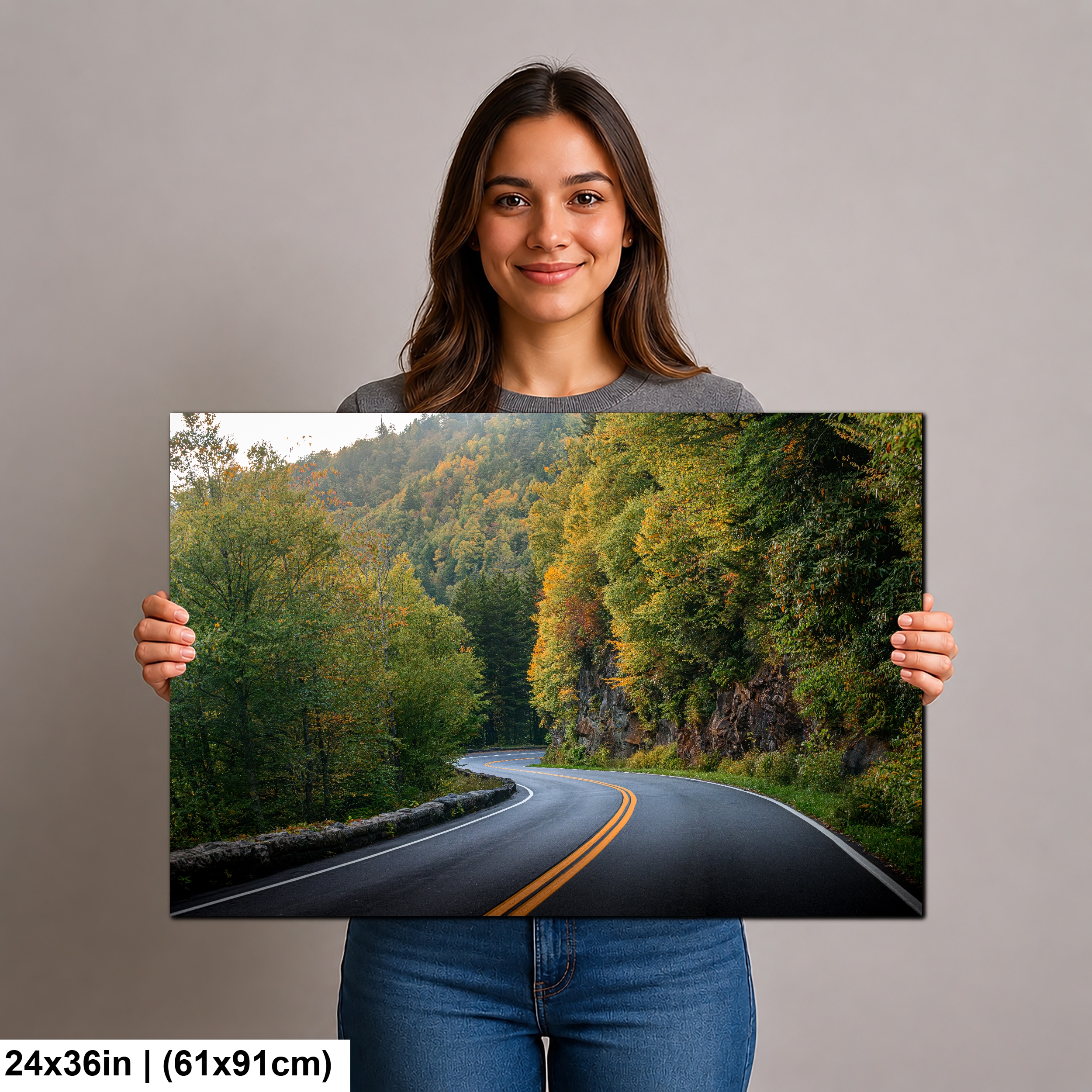 Winding Solace: Curved Road Great Smoky Mountains Diagram