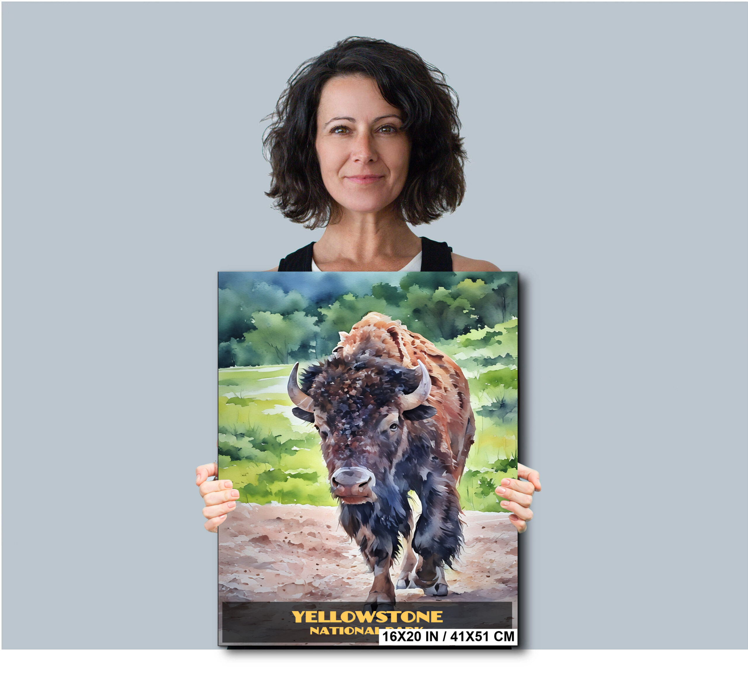 Bison Watercolor: Yellowstone National Park Wyoming Wildlife Diagram Bison Watercolor: Yellowstone National Park Wyoming Wildlife Diagram