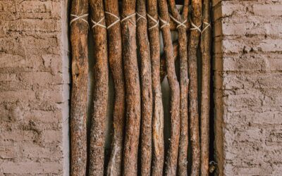 Rustic Branch Door: Tucson Arizona Historic Adobe Southwest Photo Wall Art