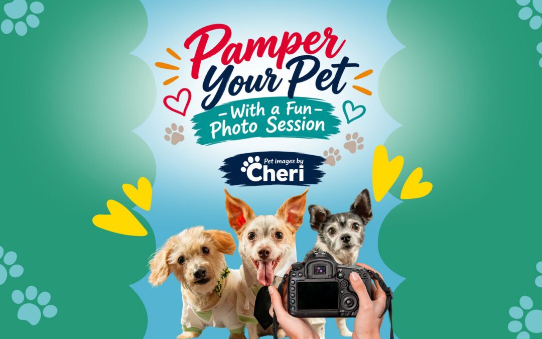 Pamper Your Pet With a Fun Photo Session