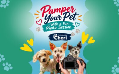 Pamper Your Pet With a Fun Photo Session