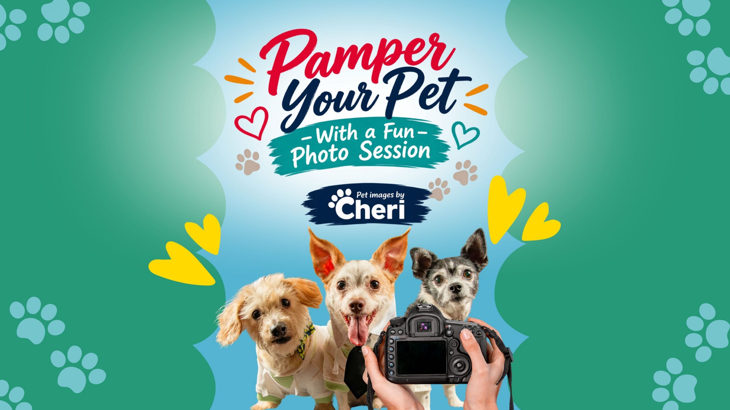 Pamper Your Pet With a Fun Photo Session
