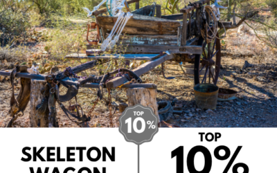 Viewbug.com: Top 10% Most Voted in ‘Skeleton Wagon’ Photo Contest