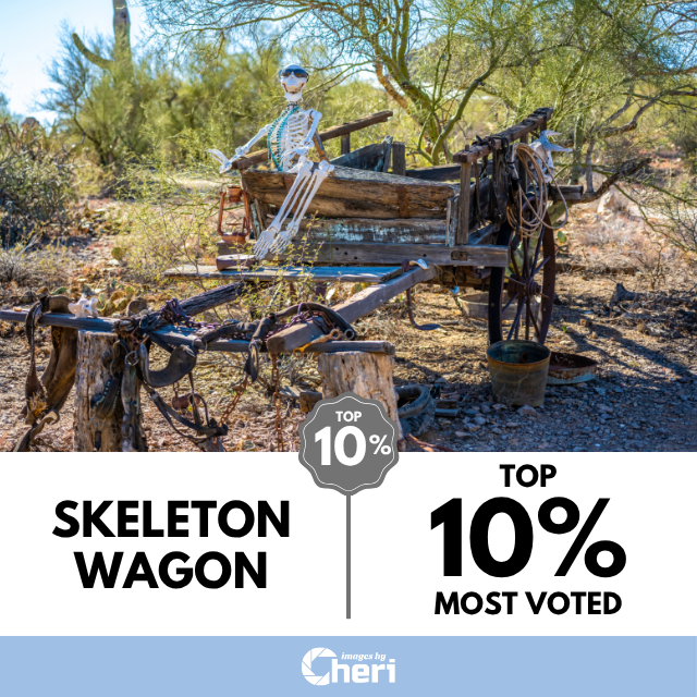 Viewbug.com: Top 10% Most Voted in ‘Skeleton Wagon’ Photo Contest