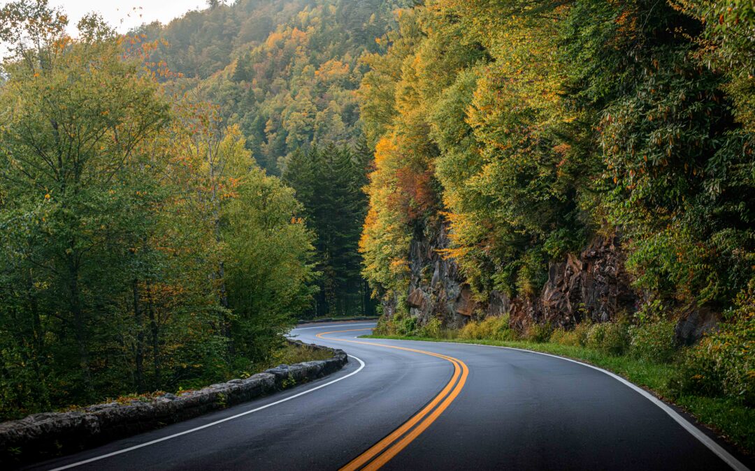 Winding Solace: Curved Road Great Smoky Mountains